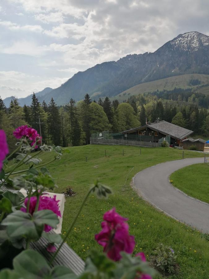 Aparthotel Haus Obweg - Postalm Hallein Zewnętrze zdjęcie