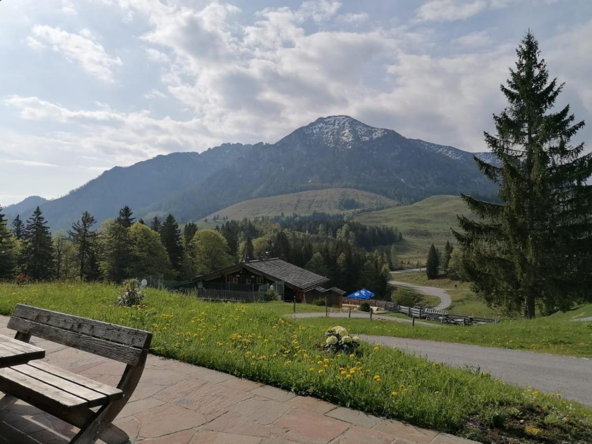 Aparthotel Haus Obweg - Postalm Hallein Zewnętrze zdjęcie