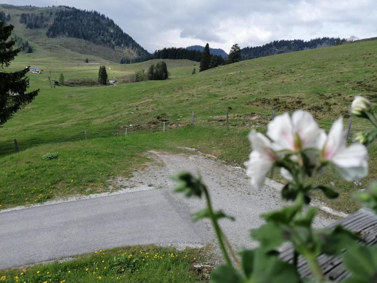 Aparthotel Haus Obweg - Postalm Hallein Zewnętrze zdjęcie